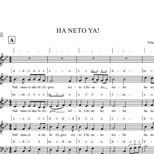 Ha neto ya