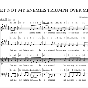 LET NOT MY ENEMIES TRIUMPH OVER ME