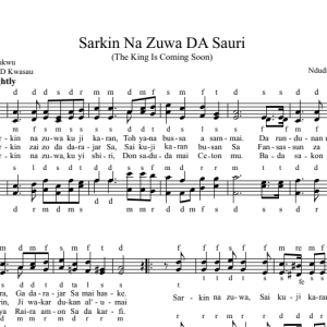 Sarkin Na Zuwa DA Sauri (The King Is Coming Soon)